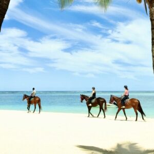 Horse Riding